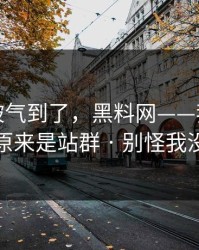 我真的被气到了，黑料网——我当场清醒：原来是站群 · 别怪我没提醒