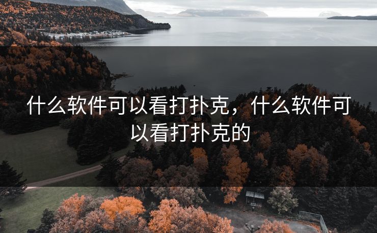 什么软件可以看打扑克,什么软件可以看打扑克的 什么软件可以看打扑克,什么软件可以看打扑克的