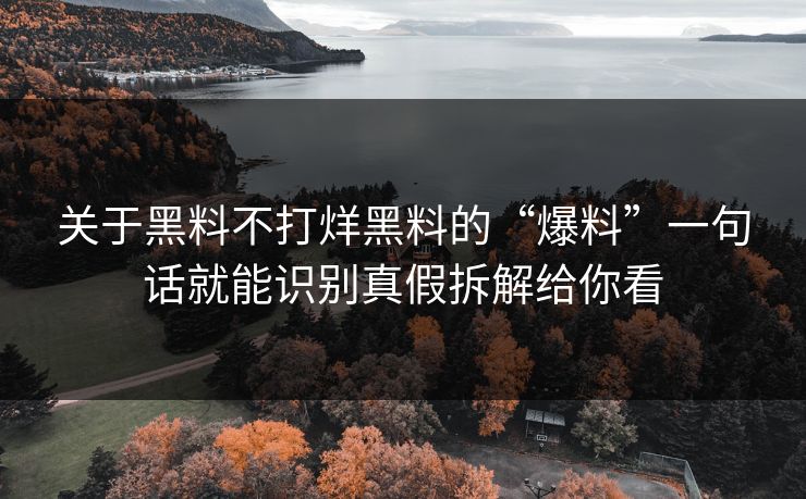 关于黑料不打烊黑料的“爆料”一句话就能识别真假拆解给你看