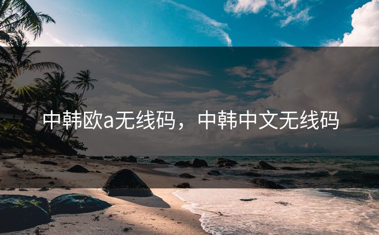中韩欧a无线码，中韩中文无线码