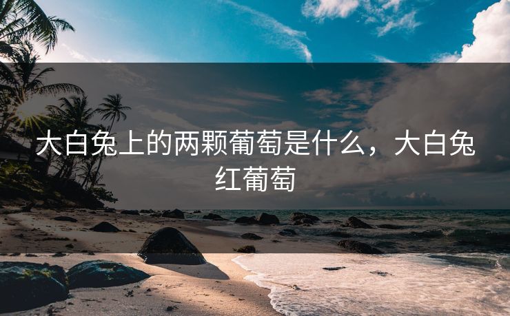 大白兔上的两颗葡萄是什么,大白兔红葡萄 大白兔上的两颗葡萄是什么,大白兔红葡萄
