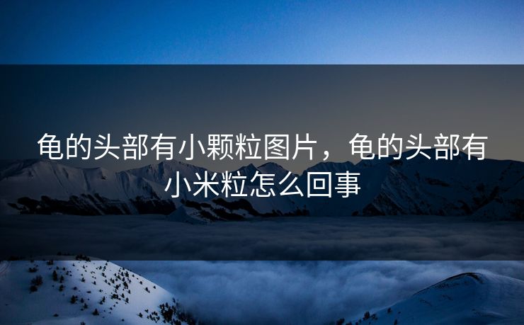 龟的头部有小颗粒图片,龟的头部有小米粒怎么回事 龟的头部有小颗粒图片,龟的头部有小米粒怎么回事